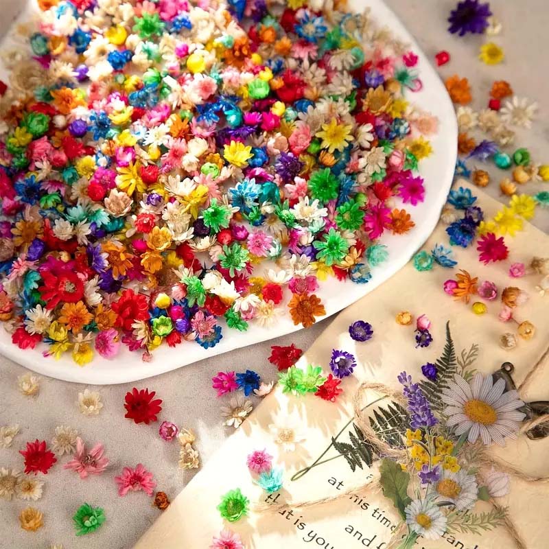 Fleur colorée mixte pour moula - Resin Craft Ideas avis et prix